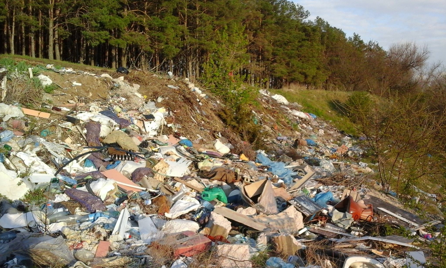 Все знают о мусорных проблемах в Москве и области- свалки и мусорные кучи в лесах, Нацпарках и других непредназначенных для этого местах.