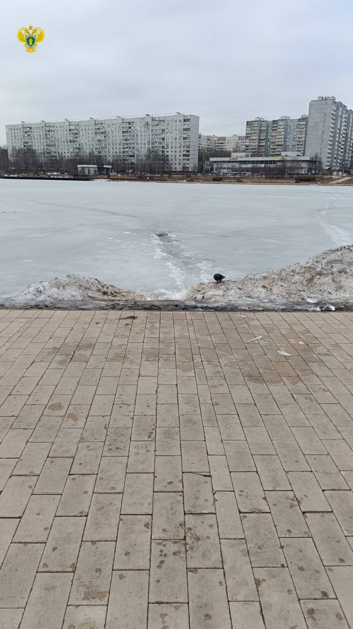 Женщина провалилась под лёд на Гольяновском пруду.